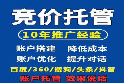 某企业SEM广告投放的ROI提升策略及效果展示